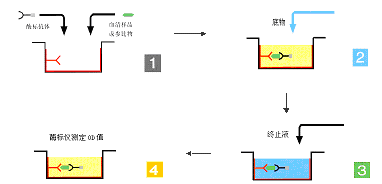 28圈-28圈官方网站-相信品牌的力量