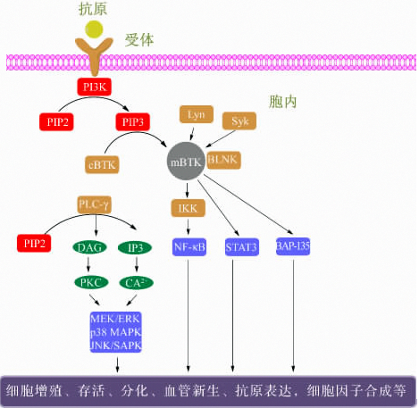 b6a0e2b1-e879-4009-a527-fb551225105e 28圈-28圈官方网站-相信品牌的力量