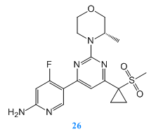 28圈-28圈官方网站-相信品牌的力量