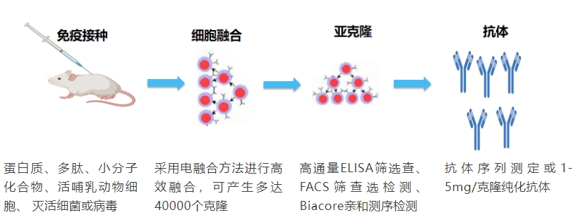 杂交瘤技术.png