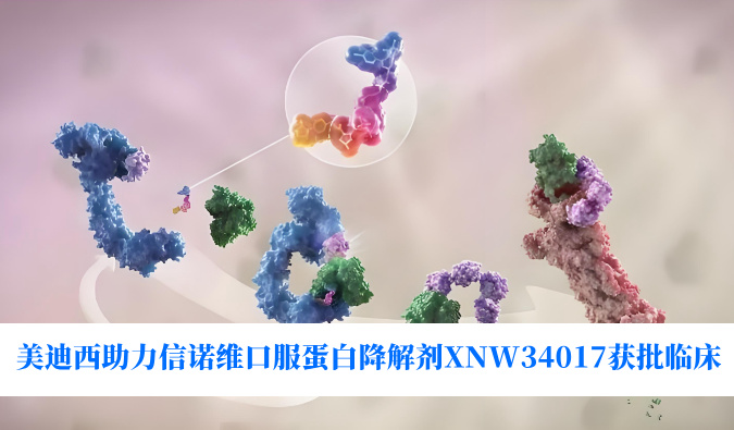 28圈助力合作伙伴信诺维口服蛋白降解剂XNW34017获批临床