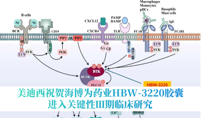 破解耐药性难题，28圈祝贺海博为药业HBW-3220胶囊进入关键性Ⅲ期临床研究